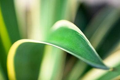 传闻：《塞尔达传说：王国之泪》将于4月26日公布演示